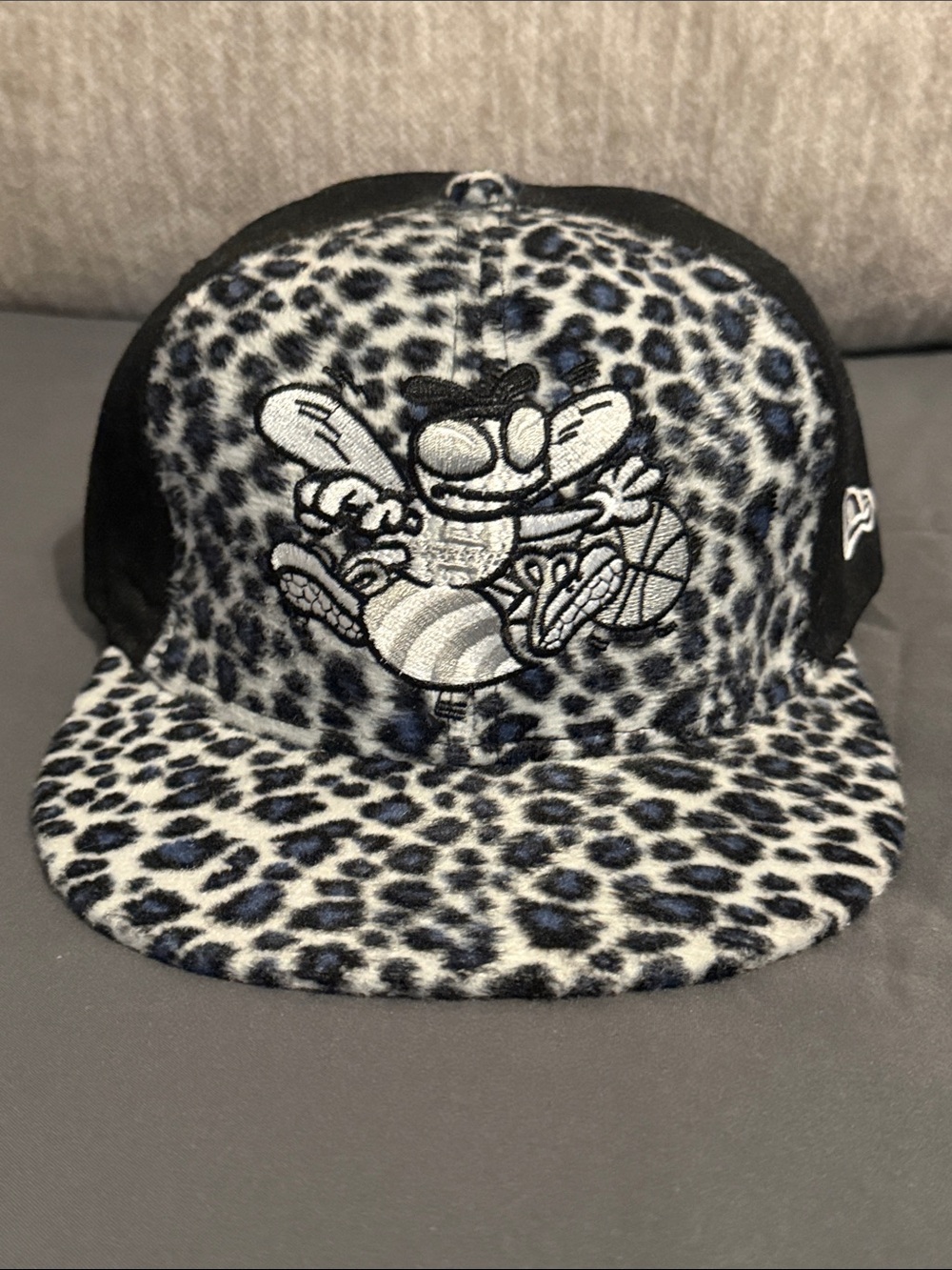 Charlotte Hornets Hat